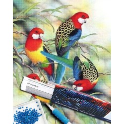 Broderie diamant 40x50cm sur toile roulée - Perroquets sur branche