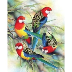 Broderie diamant 40x50cm sur toile roulée - Perroquets sur branche