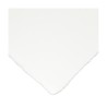 Papier aquarelle BaoHong Masters 300 g/m² en feuille 56x76 cm