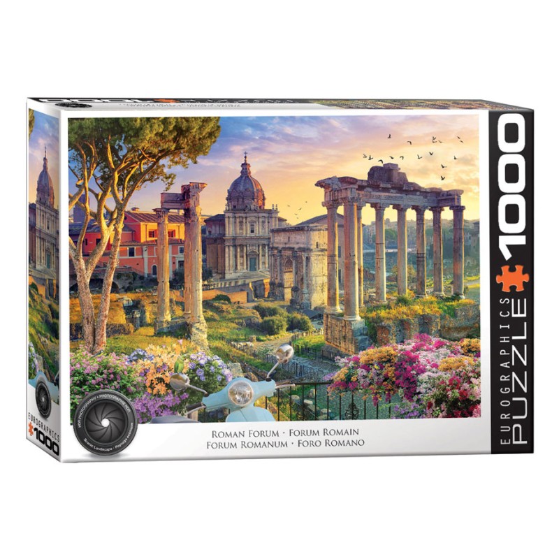 Puzzle 1000 pièces - Forum romain