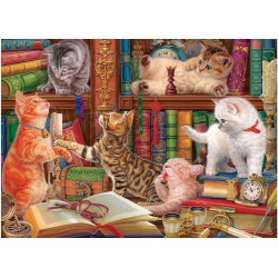 Puzzle 1000 pièces - Chatons de bibliothèque, de Image world