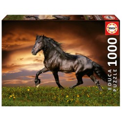 Puzzle 1000 pièces - Cheval au trot