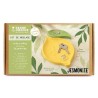 Kit DIY moulage - Vide-poches citron en Jesmonite