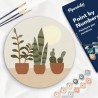 Peinture par numéros "Plantes Grasses" sur disque bois