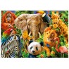 Puzzle 500 pièces - Animaux sauvages