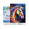 Peinture par numéros Cheval coloré abstrait sur châssis 40x50 cm