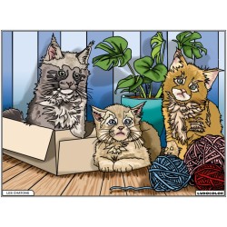 Tableau velours à colorier Les Chatons