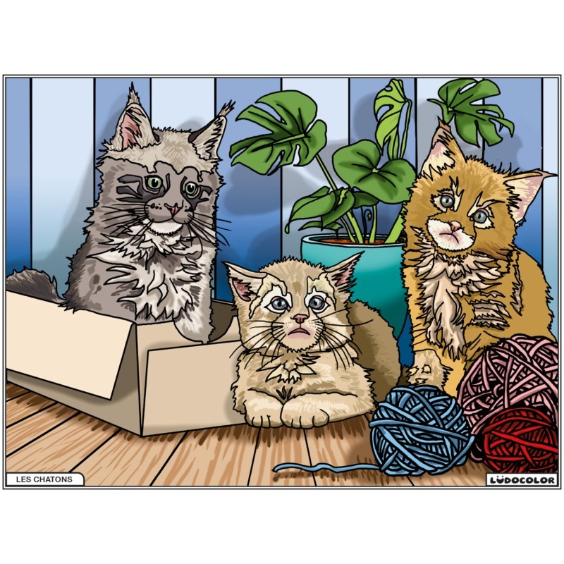 Tableau velours à colorier Les Chatons