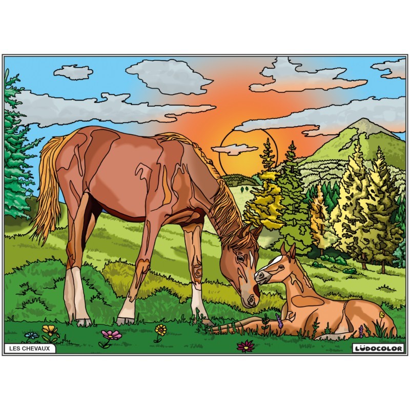 Tableau velours à colorier Jument et Poulain