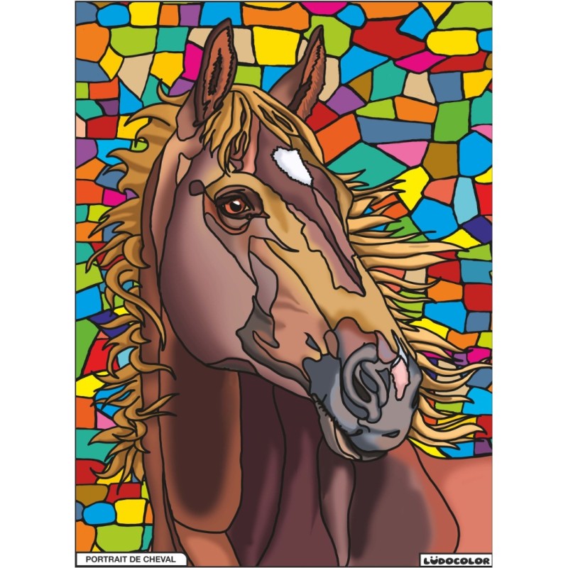 Tableau velours à colorier Portrait de Cheval