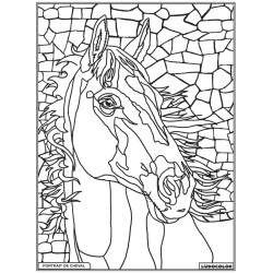 Tableau velours à colorier Portrait de Cheval