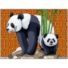 Tableau velours à colorier Les Pandas