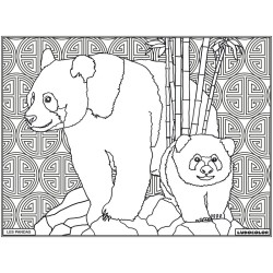 Tableau velours à colorier Les Pandas