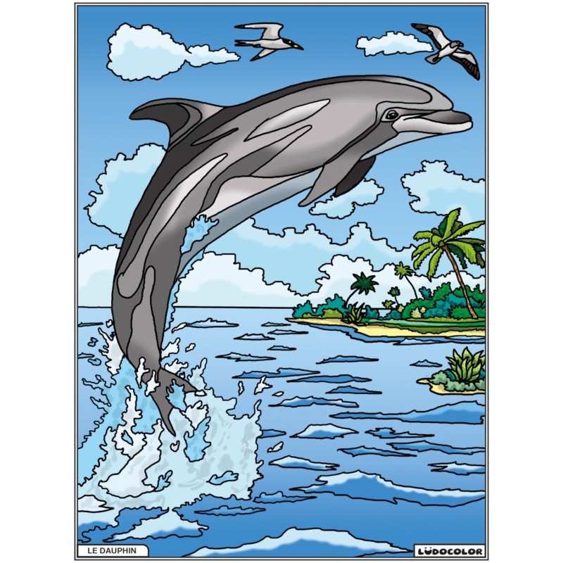 Tableau velours à colorier Le Dauphin