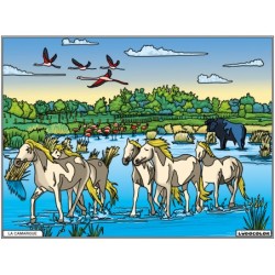 Tableau velours à colorier La Camargue