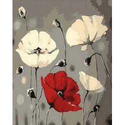 Peinture par numéros sur châssis 40x50cm - Fleurs rouge et blanches