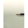 Toile en lin serré enduction huile à grain moyen 508 g/m²