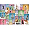 Puzzle 1000 pièces - Yoga Dogs, Chiot intérieur
