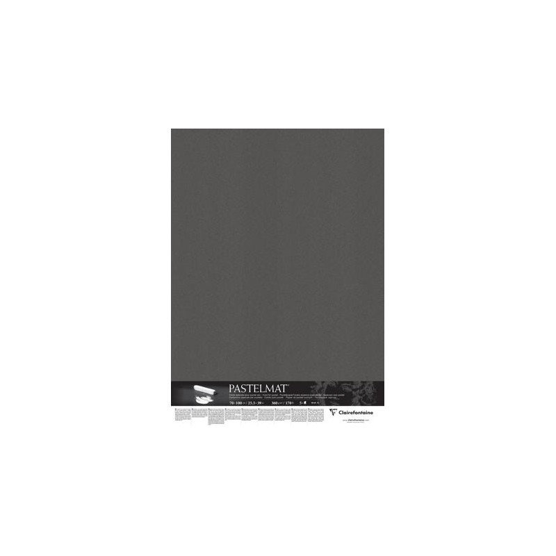 Papier pastel Pastelmat 360 g/m², feuille 70x100 cm