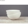 Poudre de moulage blanche Raysin 100