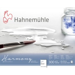 Blocs aquarelle Harmony 300g/m², 12 fls collées 4 côté