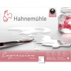 Bloc aquarelle 100% coton Expression 300g/m², 20 fls grain fin collées 4 côtés