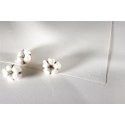 Papier aquarelle Arches 356g/m², feuille 64.8x101.6cm